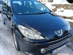 Używany 2007 Peugeot 307 Kombi | 7500 zł (Uczciwa cena)