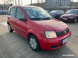 Używany 2008 Fiat Panda Hatchback | 2500 zł (Super Cena)
