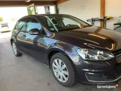 Szary Używany 2015 VW Golf VII LOUNGE Hatchback | 45 800 zł (Dobra cena)