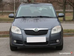 Szary Używany 2009 Skoda Fabia Hatchback | 5499 zł