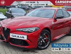 Czerwony ciemny Nowe 2025 Alfa Romeo Giulia Quadrifoglio Sedan/Limuzyna | 470 890 zł (Drogi)