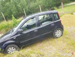 Używany 2010 Fiat Panda Hatchback | 6200 zł (Uczciwa cena)