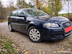 Niebieski Używany 2007 Audi A3 Hatchback | 3999 zł