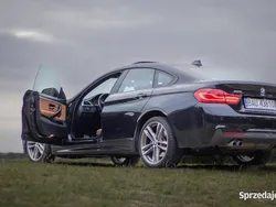 Czarny Używany 2019 BMW 430 Coupe | 102 000 zł