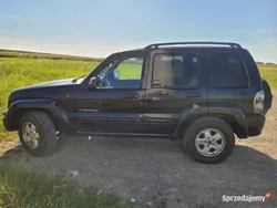 Używany 2003 Jeep Cherokee SUV | 24 000 zł (Drogi)