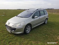 Srebrny Używany 2006 Peugeot 307 Sedan/Limuzyna | 7000 zł (Dobra cena)