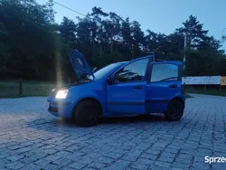 Używany 2004 Fiat Panda Hatchback | 4500 zł (Uczciwa cena)