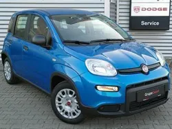 Niebieski Nowe 2024 Fiat Panda Hatchback | 66 990 zł