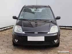 Niebieski Używany 2002 Ford Fiesta Hatchback | 3999 zł (Uczciwa cena)