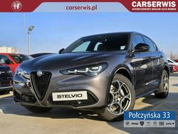 Szary (metalik) Nowe 2025 Alfa Romeo Stelvio SUV | 255 676 zł