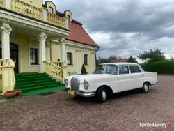 Biały Używany 1965 Mercedes W111 Sedan/Limuzyna | 69 999 zł