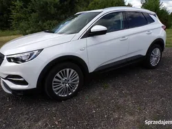 Biały Używany 2019 Opel Grandland X SUV | 67 500 zł (Uczciwa cena)