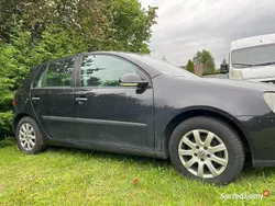 Używany 2004 VW Golf V | 6300 zł