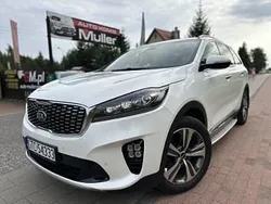 Biały Używany 2019 Kia Sorento SUV | 113 999 zł (Dobra cena)