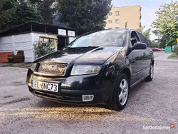 Używany 2002 Skoda Fabia | 5000 zł (Drogi)