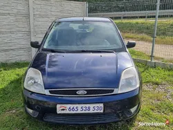 Granatowy Używany 2004 Ford Fiesta Hatchback | 2990 zł (Dobra cena)