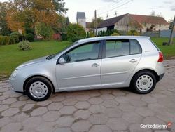 Szary Używany 2007 VW Golf V Goal Hatchback | 11 900 zł (Dość drogi)
