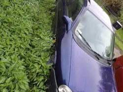 Używany 2000 Opel Corsa | 1000 zł