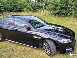 Używany 2019 Jaguar XF R | 77 500 zł (Uczciwa cena)