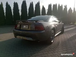Grafitowy Używany 2003 Ford Mustang GT Coupe | 47 500 zł (Uczciwa cena)