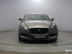 Szary Używany 2019 Jaguar XF Prestige Sedan/Limuzyna | 114 850 zł