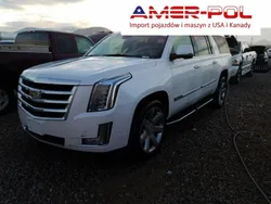 Biały Używany 2017 Cadillac Escalade SUV | 160 000 zł