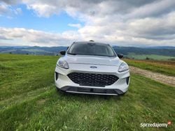 Używany 2020 Ford Kuga SUV | 59 000 zł (Super Cena)
