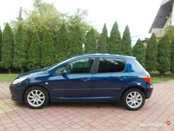 Niebieski Używany 2006 Peugeot 307 Hatchback | 8700 zł (Drogi)