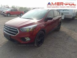 Czerwony Używany 2018 Ford Escape SUV | 62 000 zł