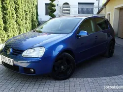 Niebieski Używany 2007 VW Golf V Hatchback | 14 900 zł (Uczciwa cena)