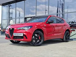 Lakier pastelowy czerwony alfa red Nowe 2025 Alfa Romeo Stelvio Quadrifoglio SUV | 469 780 zł