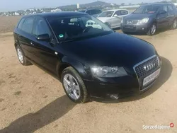 Czarny Używany 2008 Audi A3 Hatchback | 19 900 zł (Uczciwa cena)