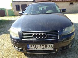 Inny kolor Używany 2004 Audi A3 Coupe | 7000 zł (Uczciwa cena)