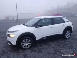Używany 2019 Citroën C4 Cactus Hatchback | 45 000 zł (Uczciwa cena)