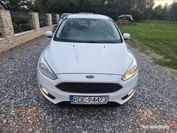 Używany 2015 Ford Focus | 23 900 zł (Dobra cena)