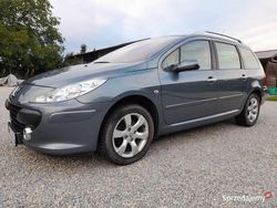 Szary Używany 2006 Peugeot 307 Kombi | 20 800 zł
