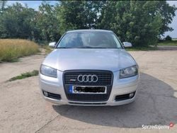 Srebrny Używany 2004 Audi A3 Hatchback | 8000 zł (Uczciwa cena)