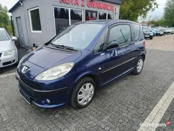 Niebieski Używany 2007 Peugeot 1007 Hatchback | 6700 zł