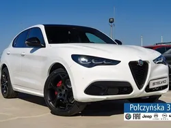 Biały Nowe 2024 Alfa Romeo Stelvio SUV | 249 890 zł