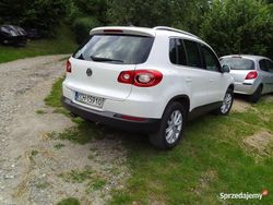Biały Używany 2009 VW Tiguan SUV | 31 900 zł (Uczciwa cena)