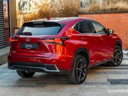 Używany 2018 Lexus NX300h E-FOUR Executive Line SUV | 136 700 zł