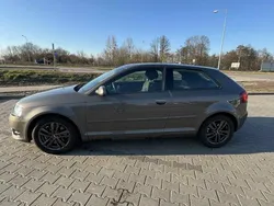 Brązowy Używany 2010 Audi A3 Ambition Hatchback | 23 500 zł (Uczciwa cena)