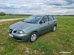 Używany 2004 Seat Ibiza | 6000 zł (Uczciwa cena)