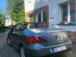 Szary Używany 2004 Peugeot 307 | 7500 zł (Drogi)