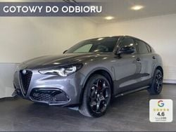Szary Nowe 2024 Alfa Romeo Stelvio Veloce SUV | 249 100 zł