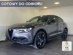 Szary Nowe 2024 Alfa Romeo Stelvio Veloce SUV | 260 100 zł
