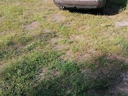 Brązowy Używany 1996 Audi A6 Kombi | 2700 zł