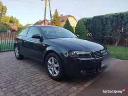 Używany 2003 Audi A3 | 14 900 zł (Drogi)