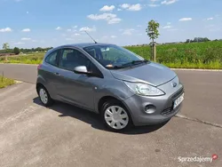 Używany 2014 Ford Ka Hatchback | 13 500 zł (Uczciwa cena)
