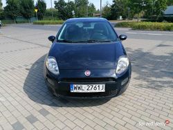 Używany 2014 Fiat Punto Hatchback | 14 900 zł